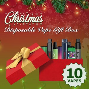 10x disposable vape christmas gift box