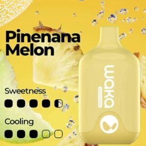 Home waka smash pineana melon – 6000 puffs