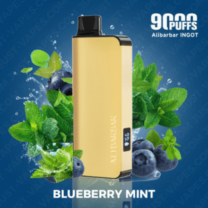 blueberry mint – alibarbar ingot – 9000 puffs