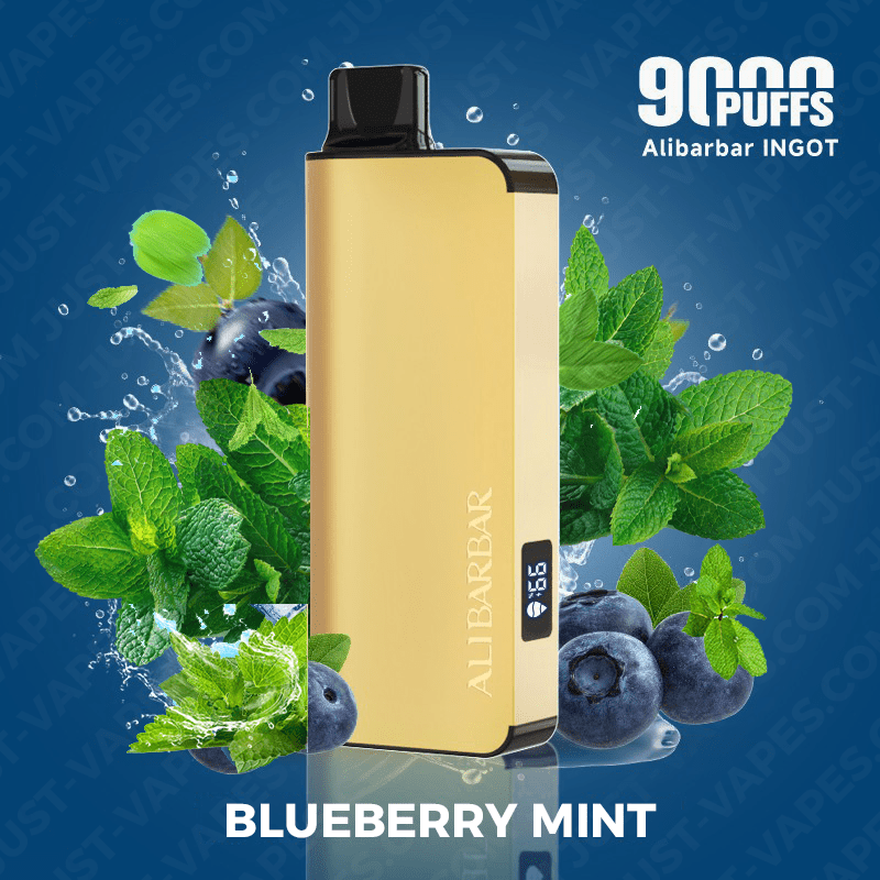 blueberry mint – alibarbar ingot – 9000 puffs blueberry mint – alibarbar ingot – 9000 puffs